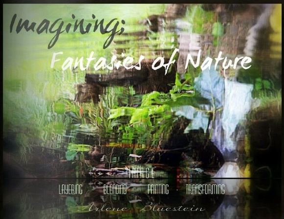 BOOK COVER; Imagining; Fantasies of Nature
