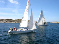 SHIPS IN SWEDEN - Beryl Ruff